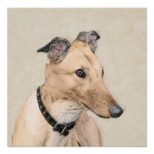 Greyhound Schilderij - Mooie Originele Hond Kunst Perfect Poster