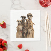 Greyhound Servet (Insitu)