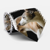 Greyhound Stropdas (Opgerold)