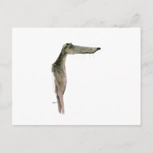 Greyhound, tony fernandes briefkaart