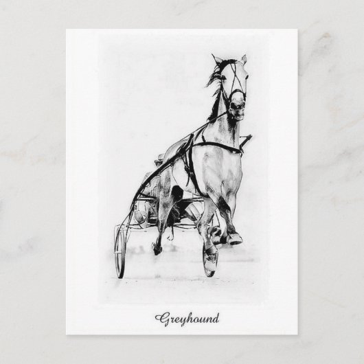 Greyhound Trotter Briefkaart (Voorkant)