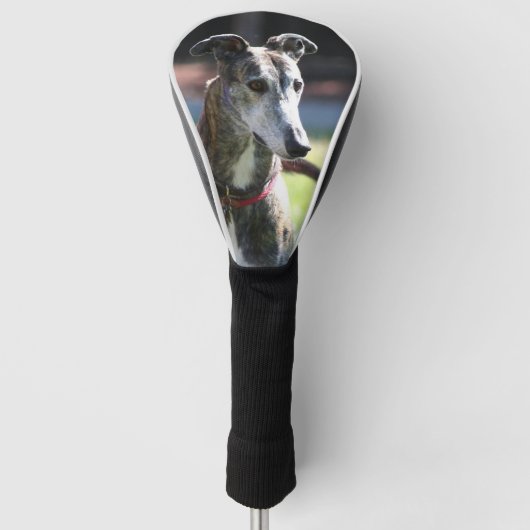 Greyhoundhond Golfheadcover (Voorkant)