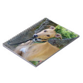 Greyhoundnotebook (P003) Notitieboek (Linkerzijde)
