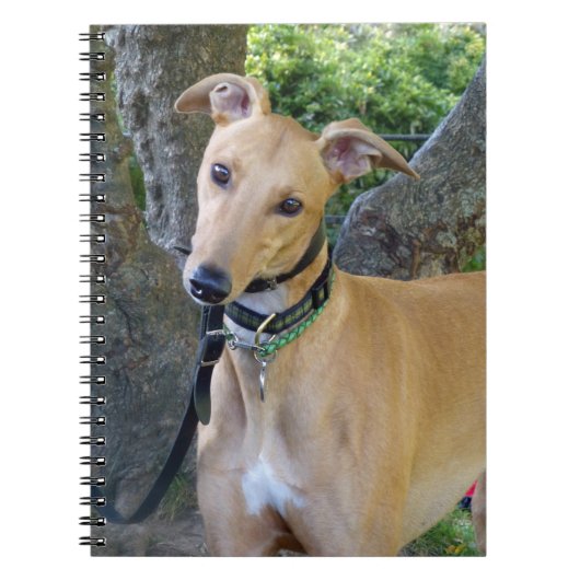 Greyhoundnotebook (P003) Notitieboek (Voorkant)