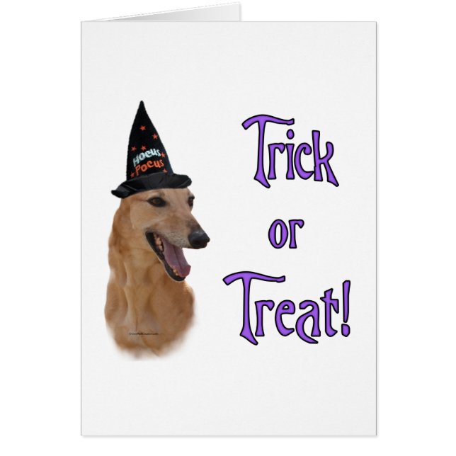 GreyhoundredTrick (Devant)