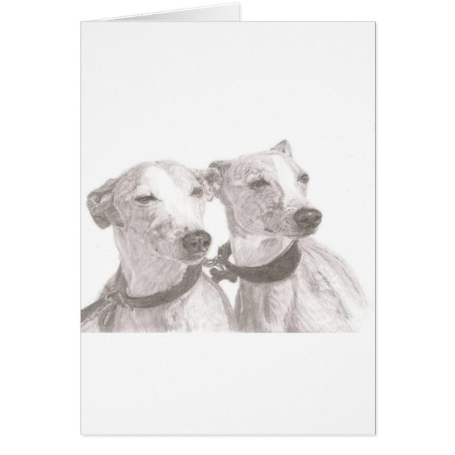 Greyhounds (Voorkant)