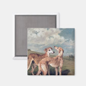 Greyhounds Magneet (Voorkant / Achterkant)