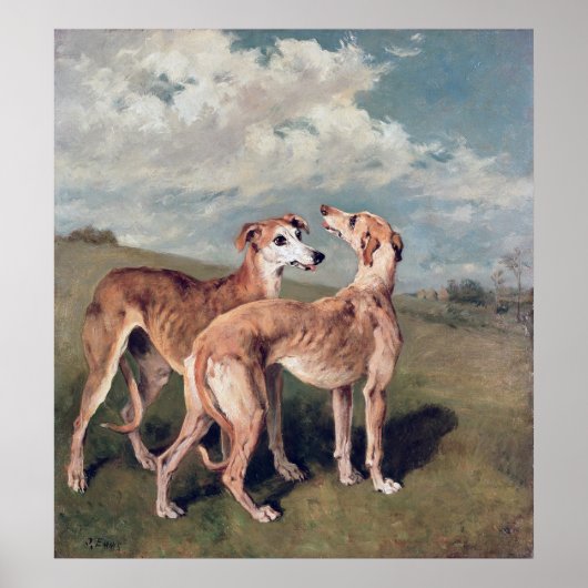Greyhounds Poster (Voorkant)