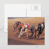 Greyhounds rennen op pad briefkaart (Voorkant / Achterkant)