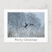 Greylag ganzen in besneeuwd landschap kerstkaart.