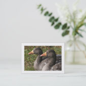 Greylag Geese (Grenzen) Visitekaartje (Staand voorkant)