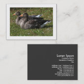 Greylag Geese (Grenzen) Visitekaartje (Voorkant / Achterkant)