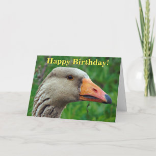 Greylag goose aanpasbare wenskaart kaart