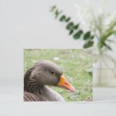 Greylag Goose Briefkaart (Staand voorkant)