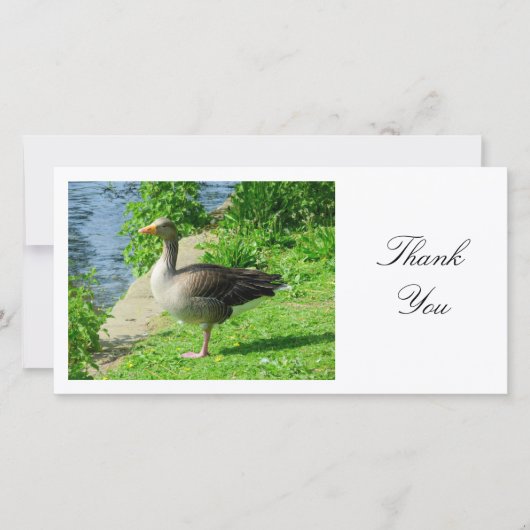 Greylag Goose - Dank u wel Bedankkaart (Voorkant)