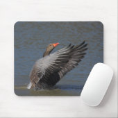 Greylag Goose Muismat (Met muis)