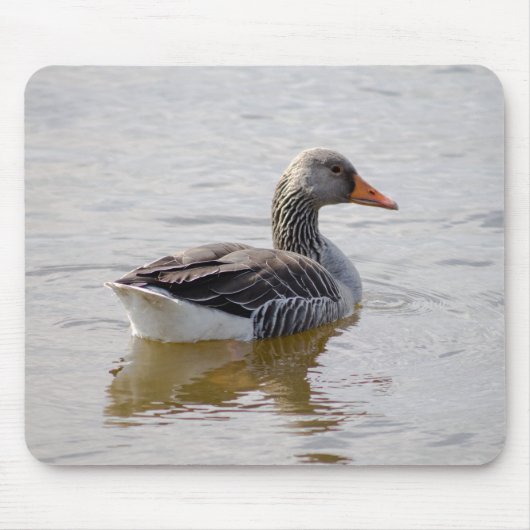 Greylag Goose Muismat (Voorkant)