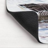 Greylag Goose Muismat (Hoek)