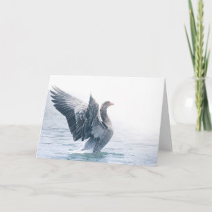 Greylag goose natuur foto kaart