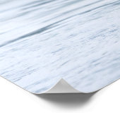 Greylag goose natuur foto poster (Hoek)