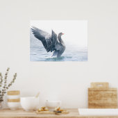 Greylag goose natuur foto poster (Keuken)