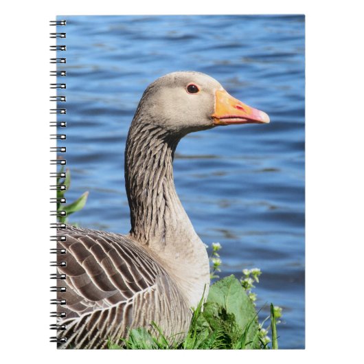 Greylag Goose Notitieboek (Voorkant)