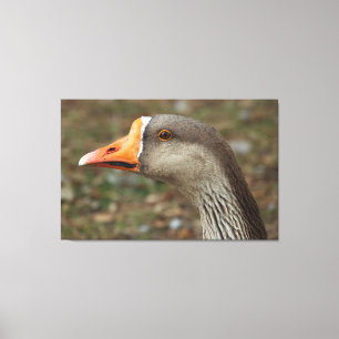 Greylag Swan Goose Cross Canvas Afdruk