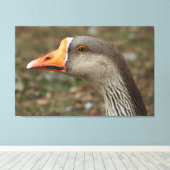 Greylag Swan Goose Cross Canvas Afdruk (Insitu (Houten vloer))