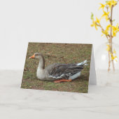 Greylag Swan Goose Cross Kaart (Gele Bloem)