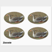 Greylag Swan Goose Cross Ovale Sticker (Vel)