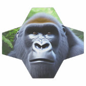 Greyson The Male Gorilla, Balle De Football (Plat)