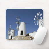 GRIEKENLAND, CRETE, provincie Iraklio, Ano Kera: Muismat (Met muis)