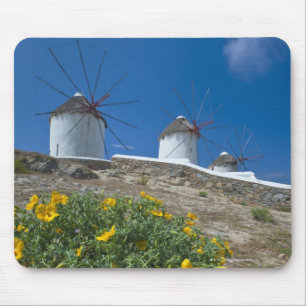 Griekenland, Cycladen, Mykonos, Bloemen in de buur Muismat