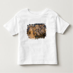 Griekenland en het Griekse eiland Santorini Kinder Shirts