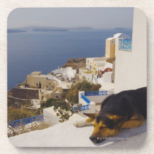 Griekenland, Santorini Island, Oia City, hond die Drankjes Onderzetter