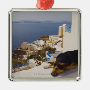 Griekenland, Santorini Island, Oia City, hond die  Metalen Ornament