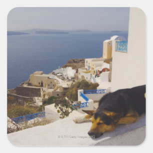 Griekenland, Santorini Island, Oia City, hond die Vierkante Sticker