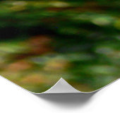 Grieks beeld poster (Hoek)