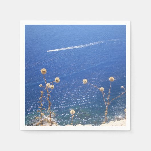 Grieks blauw Zee Servet (Voorkant)