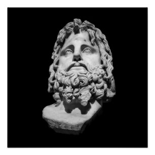 Grieks-Romeins Borstbeeld Perfect Poster