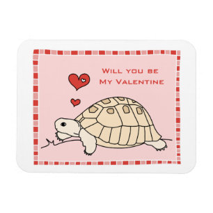  Grieks schildpad magneet