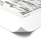 Griekse en Romeinse goederen Poster (Hoek)