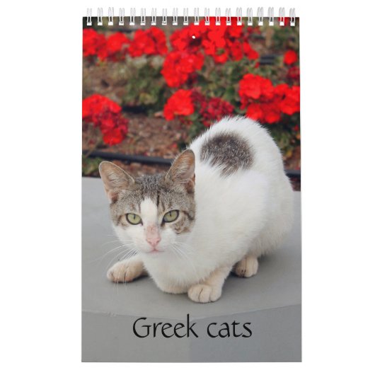 Griekse katten - snapshots van de kleine metgezell kalender (Hoes)
