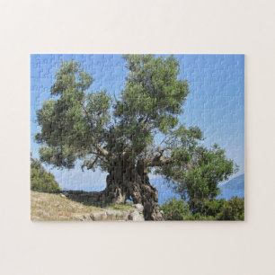 Griekse olijventeelt (Kefalonia) Legpuzzel
