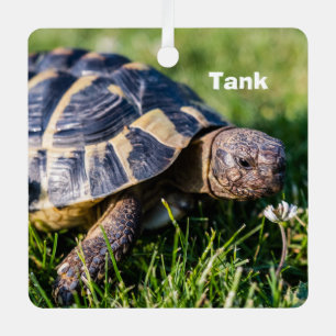 Griekse schildpad in het gras metalen ornament