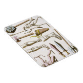 Griekse soldaten, wapens en wapenrusting, bord 38  magneet (Rechterzijde)