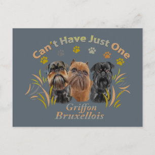 Griffon Brussels kan niet slechts één hebben Briefkaart