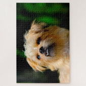 Griffon Dog Jigsaws. Legpuzzel (Verticaal)