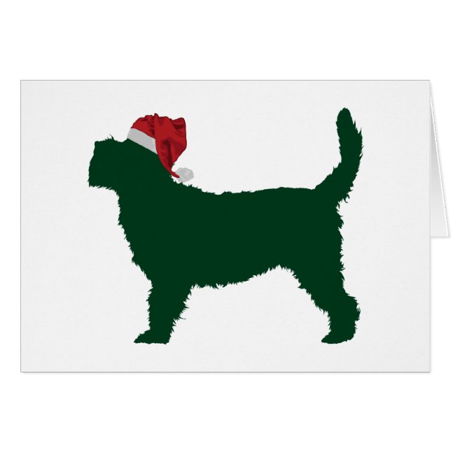 Griffon grand Vendeen de basset (Devant horizontal)