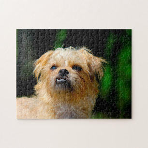 Griffon hond Legpuzzels. Legpuzzel